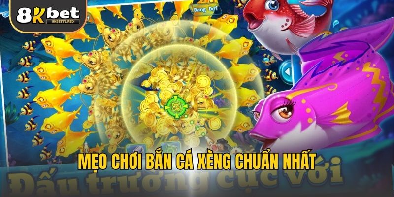 Mẹo chơi bắn cá xèng chuẩn nhất