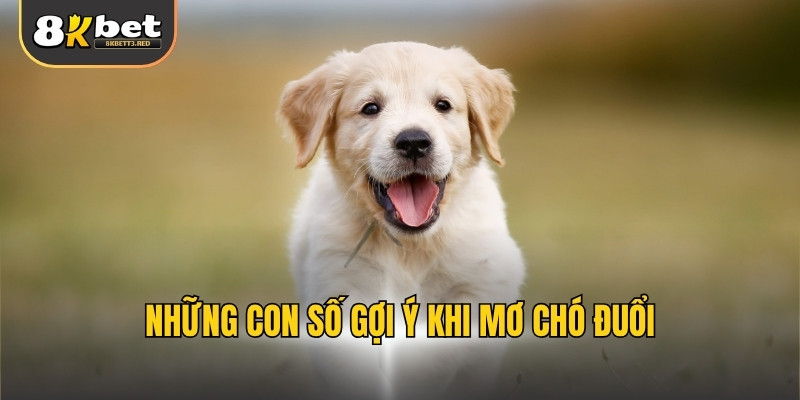 Những con số gợi ý khi mơ chó đuổi