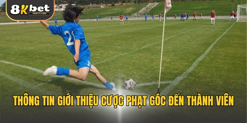 Thông tin giới thiệu cược phạt góc đến thành viên